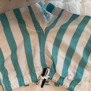 Striped Teal and White Swim Shorts